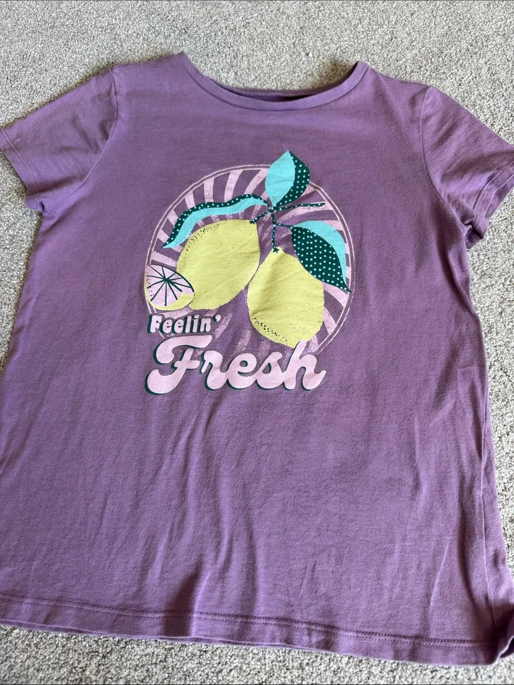 Oshkosh Girls Shirt Bundle